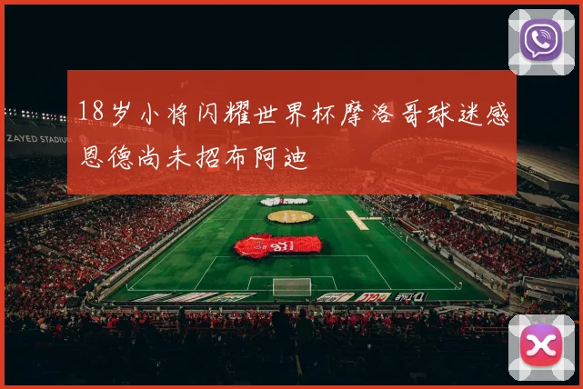 18岁小将闪耀世界杯摩洛哥球迷感恩德尚未招布阿迪